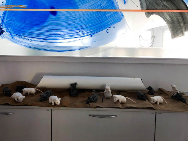 Bild: © Dinies Technologies GmbH