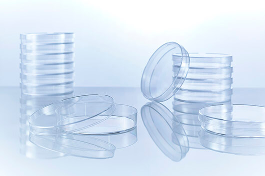 Bild: © greiner Bio-One International GmbH
